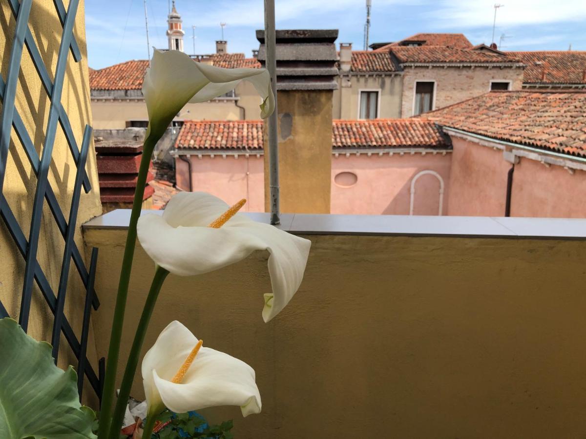 - Ca' D'oro: Bella Casa Con Terrazzi Appartamento Venezia